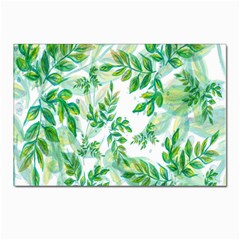 Leaves-37 Postcard 4 x 6  (pkg Of 10) by nateshop