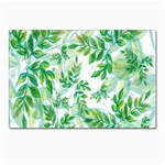 Leaves-37 Postcard 4 x 6  (Pkg of 10) Front