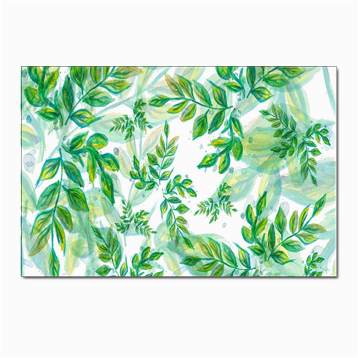 Leaves-37 Postcard 4 x 6  (Pkg of 10)