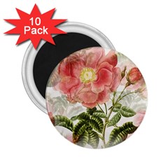 Flowers-102 2 25  Magnets (10 Pack)  by nateshop