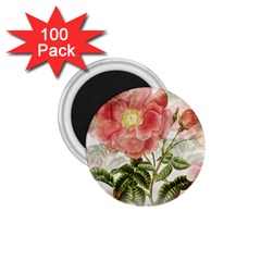 Flowers-102 1 75  Magnets (100 Pack)  by nateshop