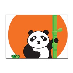 Panda Animal Orange Sun Nature Sticker A4 (10 Pack) by Semog4