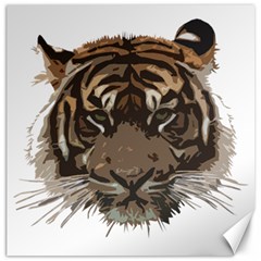 Tiger Comic Cartoon Animal Canvas 12  X 12  by Semog4