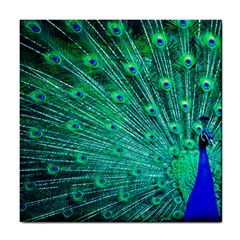 Green And Blue Peafowl Peacock Animal Color Brightly Colored Tile Coaster