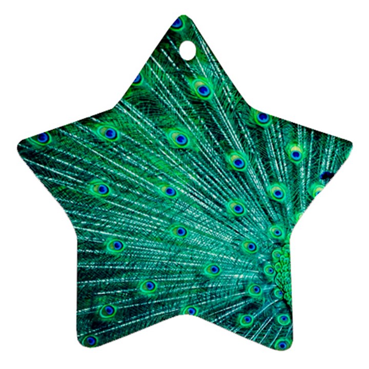 Green And Blue Peafowl Peacock Animal Color Brightly Colored Ornament (Star)