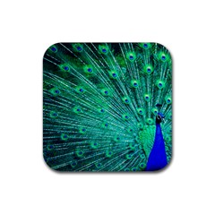 Green And Blue Peafowl Peacock Animal Color Brightly Colored Rubber Coaster (square) by Semog4