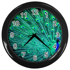 Green And Blue Peafowl Peacock Animal Color Brightly Colored Wall Clock (Black)