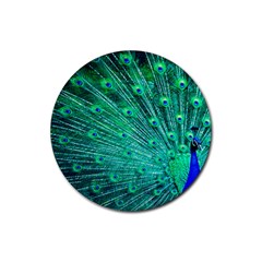 Green And Blue Peafowl Peacock Animal Color Brightly Colored Rubber Round Coaster (4 Pack) by Semog4