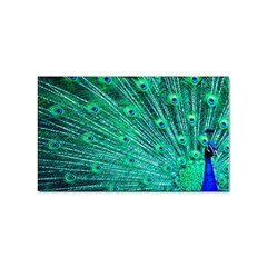 Green And Blue Peafowl Peacock Animal Color Brightly Colored Sticker (rectangular) by Semog4