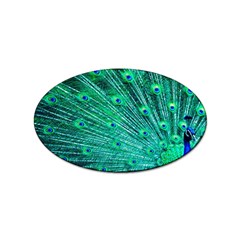 Green And Blue Peafowl Peacock Animal Color Brightly Colored Sticker Oval (100 pack)