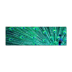 Green And Blue Peafowl Peacock Animal Color Brightly Colored Sticker Bumper (10 Pack) by Semog4