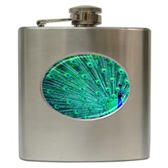 Green And Blue Peafowl Peacock Animal Color Brightly Colored Hip Flask (6 oz)