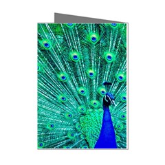 Green And Blue Peafowl Peacock Animal Color Brightly Colored Mini Greeting Cards (Pkg of 8)