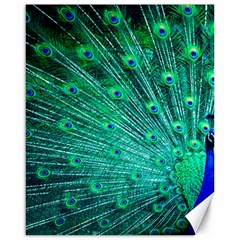 Green And Blue Peafowl Peacock Animal Color Brightly Colored Canvas 16  x 20 