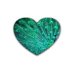 Green And Blue Peafowl Peacock Animal Color Brightly Colored Rubber Heart Coaster (4 Pack) by Semog4