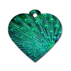 Green And Blue Peafowl Peacock Animal Color Brightly Colored Dog Tag Heart (One Side)