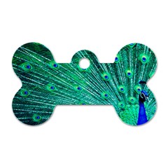 Green And Blue Peafowl Peacock Animal Color Brightly Colored Dog Tag Bone (Two Sides)