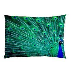 Green And Blue Peafowl Peacock Animal Color Brightly Colored Pillow Case