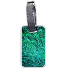 Green And Blue Peafowl Peacock Animal Color Brightly Colored Luggage Tag (one side)