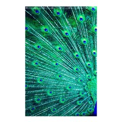 Green And Blue Peafowl Peacock Animal Color Brightly Colored Shower Curtain 48  x 72  (Small) 