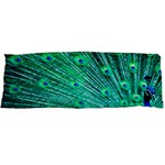 Green And Blue Peafowl Peacock Animal Color Brightly Colored Body Pillow Case Dakimakura (Two Sides) Front