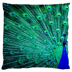 Green And Blue Peafowl Peacock Animal Color Brightly Colored Large Cushion Case (Two Sides)