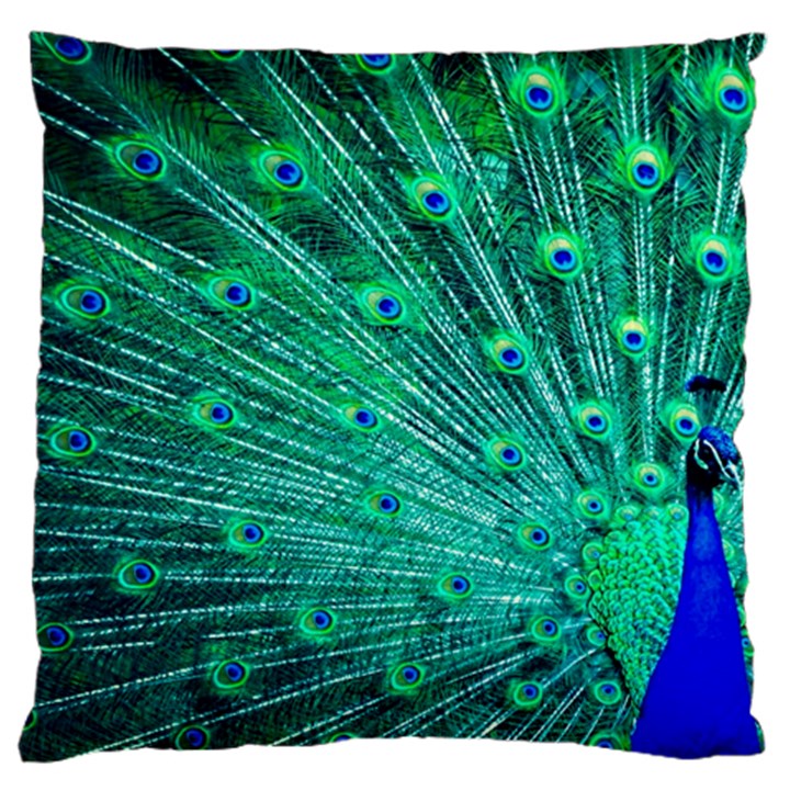 Green And Blue Peafowl Peacock Animal Color Brightly Colored Large Cushion Case (Two Sides)