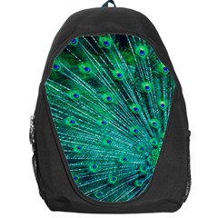 Green And Blue Peafowl Peacock Animal Color Brightly Colored Backpack Bag