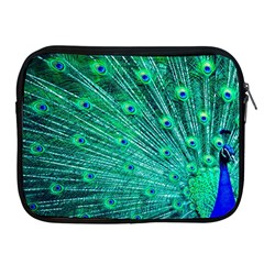 Green And Blue Peafowl Peacock Animal Color Brightly Colored Apple iPad 2/3/4 Zipper Cases