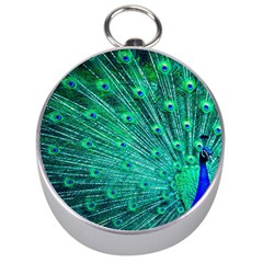 Green And Blue Peafowl Peacock Animal Color Brightly Colored Silver Compasses