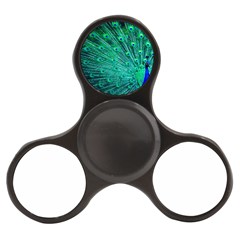 Green And Blue Peafowl Peacock Animal Color Brightly Colored Finger Spinner