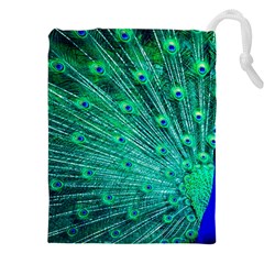 Green And Blue Peafowl Peacock Animal Color Brightly Colored Drawstring Pouch (5XL)