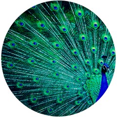 Green And Blue Peafowl Peacock Animal Color Brightly Colored Uv Print Round Tile Coaster by Semog4