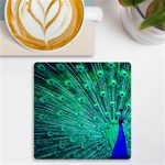 Green And Blue Peafowl Peacock Animal Color Brightly Colored UV Print Square Tile Coaster  Front