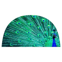 Green And Blue Peafowl Peacock Animal Color Brightly Colored Anti scalding pot cap