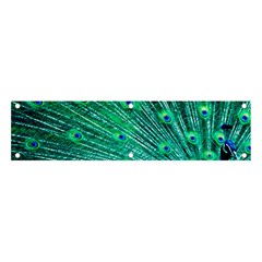 Green And Blue Peafowl Peacock Animal Color Brightly Colored Banner and Sign 4  x 1 