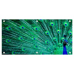 Green And Blue Peafowl Peacock Animal Color Brightly Colored Banner and Sign 4  x 2 