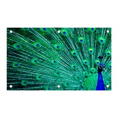 Green And Blue Peafowl Peacock Animal Color Brightly Colored Banner and Sign 5  x 3 