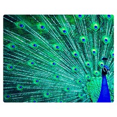 Green And Blue Peafowl Peacock Animal Color Brightly Colored Premium Plush Fleece Blanket (Medium)