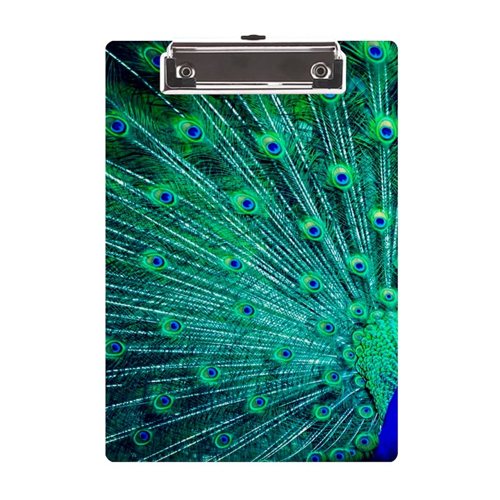 Green And Blue Peafowl Peacock Animal Color Brightly Colored A5 Acrylic Clipboard