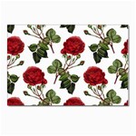 Roses-51 Postcards 5  x 7  (Pkg of 10) Front