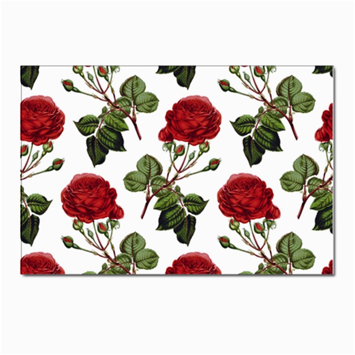 Roses-51 Postcards 5  x 7  (Pkg of 10)