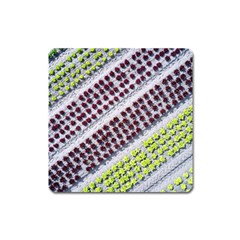 Field Agriculture Farm Stripes Diagonal Pattern Square Magnet by Jancukart