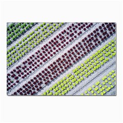 Field Agriculture Farm Stripes Diagonal Pattern Postcard 4 x 6  (pkg Of 10) by Jancukart