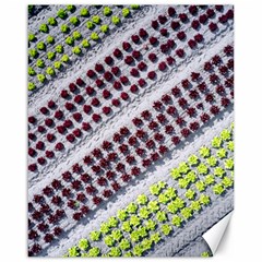 Field Agriculture Farm Stripes Diagonal Pattern Canvas 16  X 20 