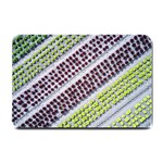 Field Agriculture Farm Stripes Diagonal Pattern Small Doormat 24 x16  Door Mat