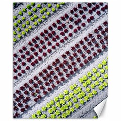 Field Agriculture Farm Stripes Diagonal Pattern Canvas 11  X 14 