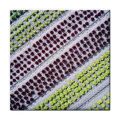 Field Agriculture Farm Stripes Diagonal Pattern Face Towel