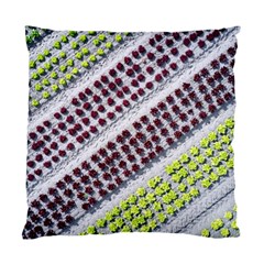 Field Agriculture Farm Stripes Diagonal Pattern Standard Cushion Case (two Sides) by Jancukart