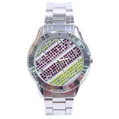 Field Agriculture Farm Stripes Diagonal Pattern Stainless Steel Analogue Watch